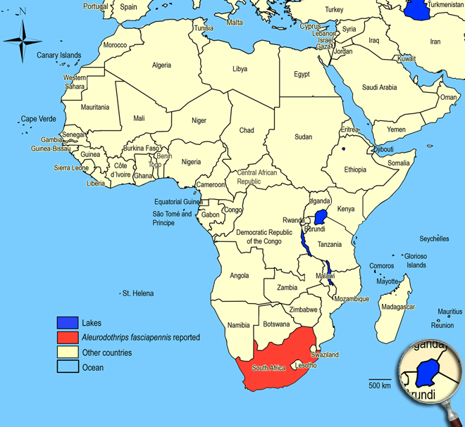 Distibution Map Africa